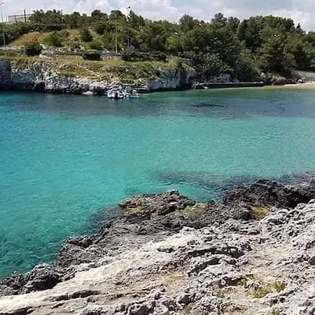 Cinzia Uggiano La Chiesa